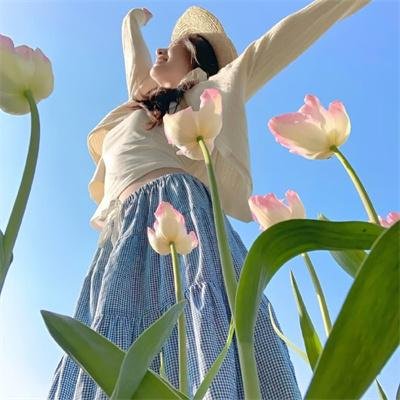 神剑游龙粤语